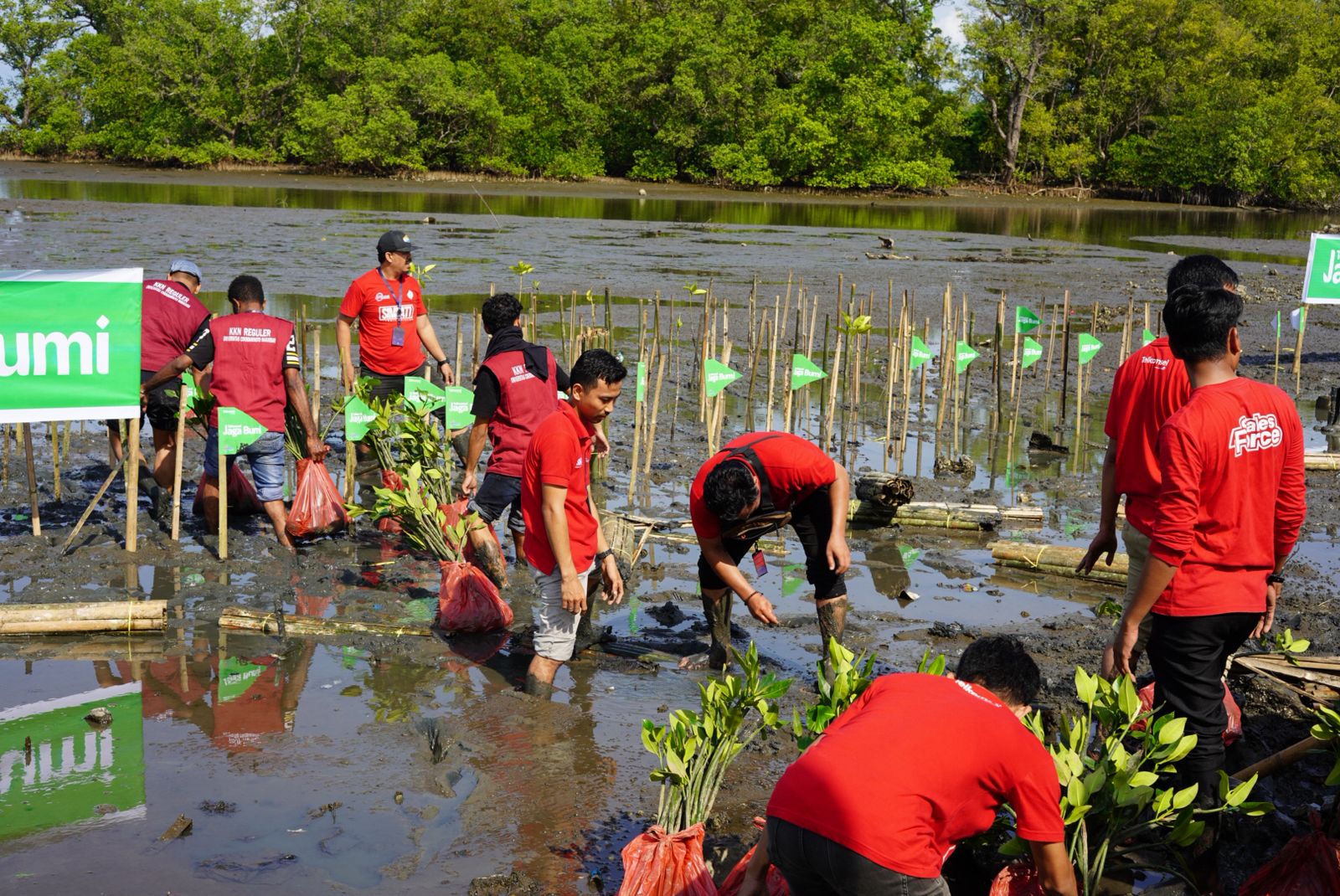 IMG-20251108-WA0007 IMG 20251108 WA0007