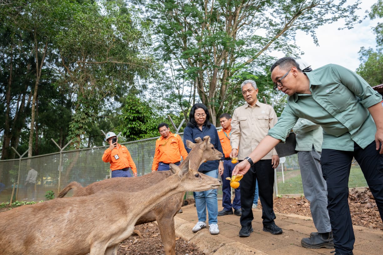 IMG-20251126-WA0024 IMG 20251126 WA0024