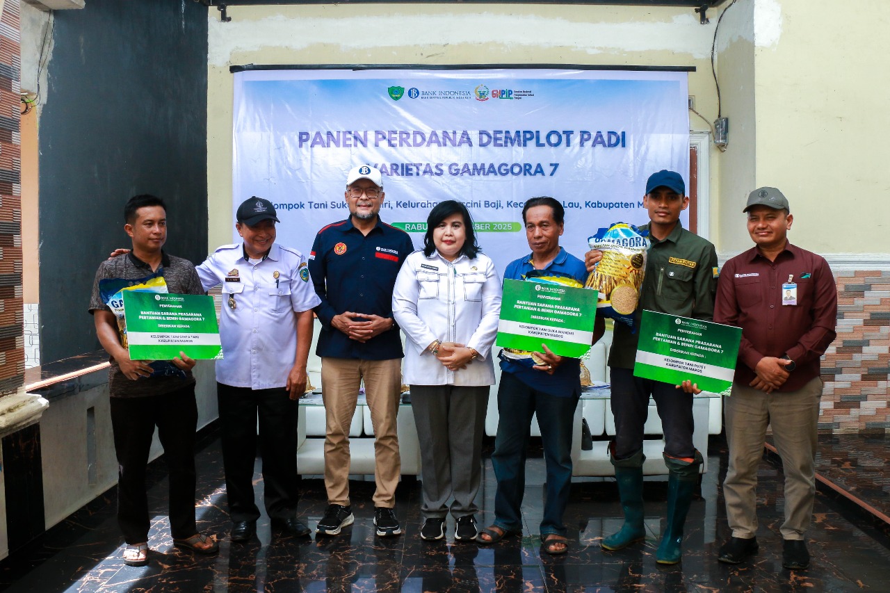 IMG-20251127-WA0008 IMG 20251127 WA0008